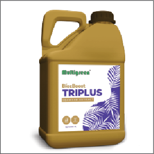 Triplus Seaweed Extract